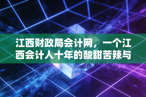江西财政局会计网，一个江西会计人十年的酸甜苦辣与实操指南