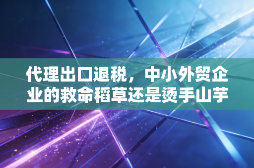 代理出口退税，中小外贸企业的救命稻草还是烫手山芋？——一位老注会的深度剖析