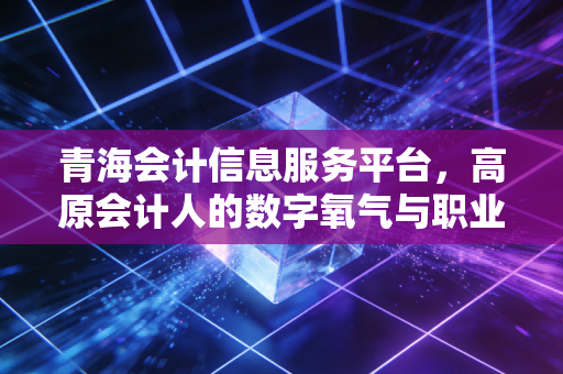 青海会计信息服务平台，高原会计人的数字氧气与职业进阶之路
