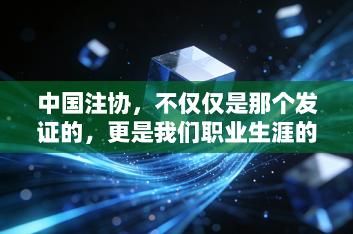 中国注协，不仅仅是那个发证的，更是我们职业生涯的严父与后盾