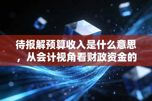 待报解预算收入是什么意思，从会计视角看财政资金的中转站