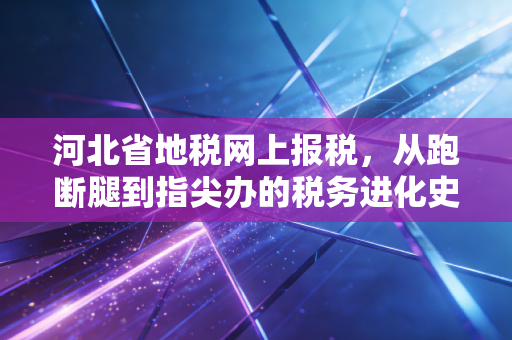 河北省地税网上报税,从跑断腿到指尖办的税务进化史