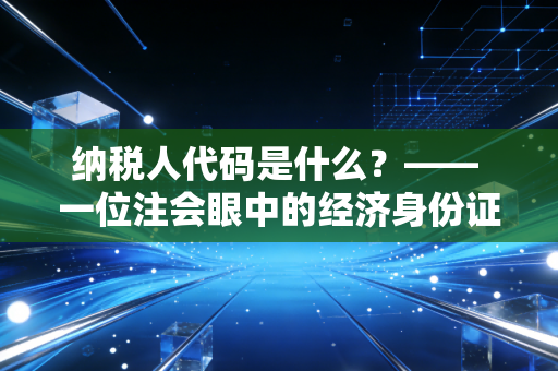 纳税人代码是什么?—— 一位注会眼中的经济身份证解析与实务指南