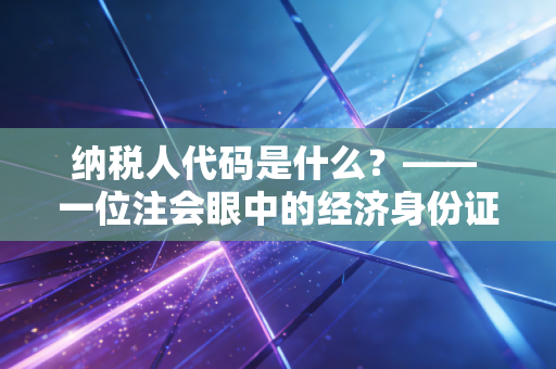纳税人代码是什么?—— 一位注会眼中的经济身份证解析与实务指南
