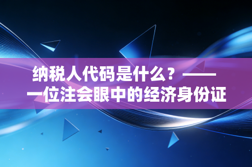 纳税人代码是什么？—— 一位注会眼中的经济身份证解析与实务指南