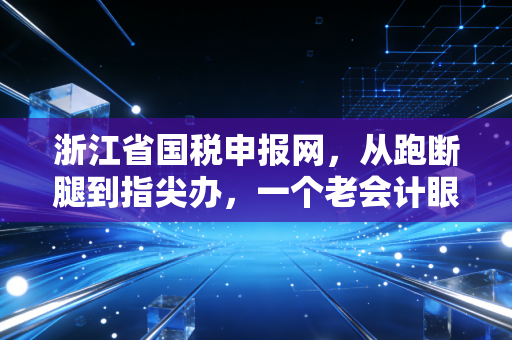 浙江省国税申报网,从跑断腿到指尖办,一个老会计眼中的税务数字化变迁