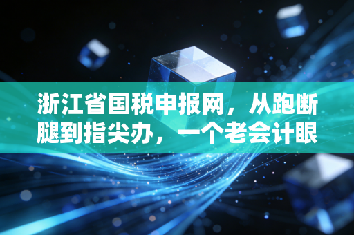 浙江省国税申报网，从跑断腿到指尖办，一个老会计眼中的税务数字化变迁