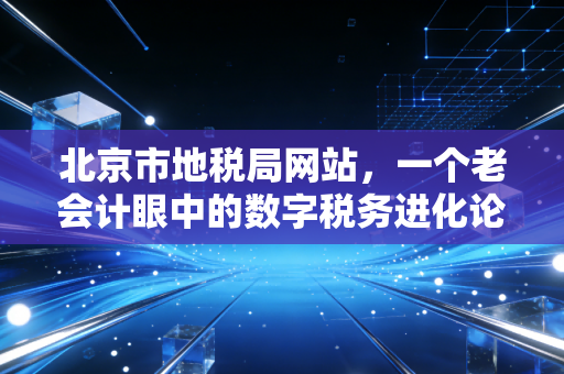 北京市地税局网站,一个老会计眼中的数字税务进化论与人间烟火