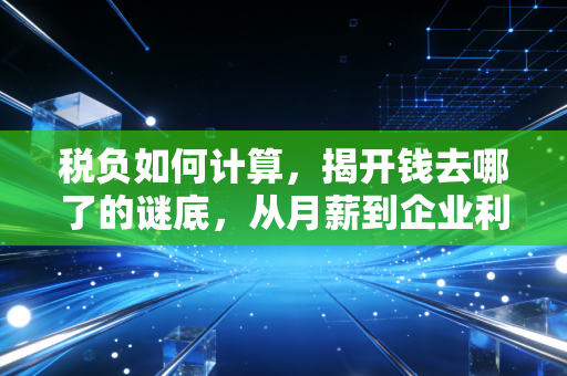 税负如何计算，揭开钱去哪了的谜底，从月薪到企业利润的深度拆解