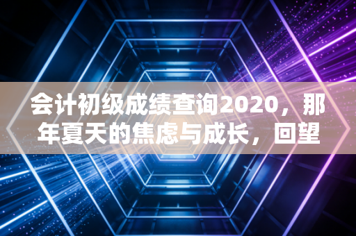 会计初级成绩查询2020，那年夏天的焦虑与成长，回望会计人的进阶之路
