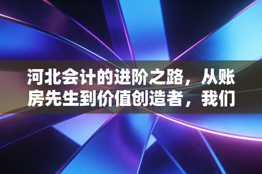 河北会计的进阶之路,从账房先生到价值创造者,我们在夹缝中寻找光亮