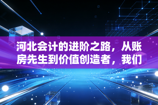 河北会计的进阶之路,从账房先生到价值创造者,我们在夹缝中寻找光亮