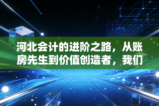 河北会计的进阶之路，从账房先生到价值创造者，我们在夹缝中寻找光亮