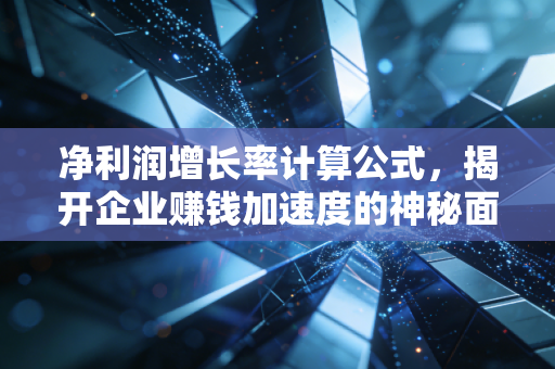 净利润增长率计算公式，揭开企业赚钱加速度的神秘面纱，别被数字忽悠了