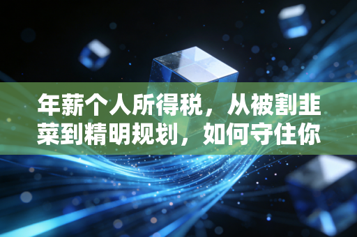年薪个人所得税,从被割韭菜到精明规划,如何守住你的钱袋子