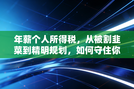 年薪个人所得税,从被割韭菜到精明规划,如何守住你的钱袋子