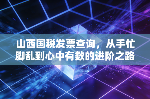 山西国税发票查询,从手忙脚乱到心中有数的进阶之路
