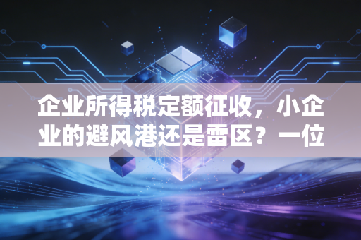 企业所得税定额征收,小企业的避风港还是雷区?一位注会老兵的掏心窝子话