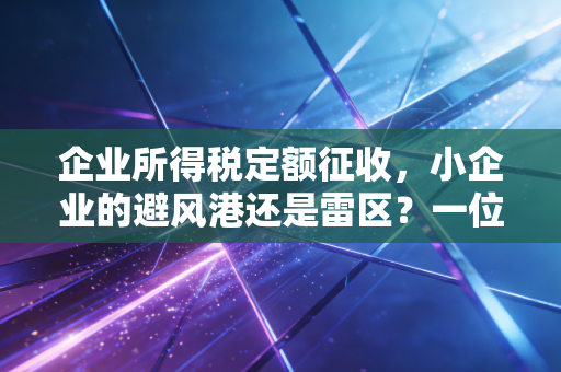 企业所得税定额征收，小企业的避风港还是雷区？一位注会老兵的掏心窝子话