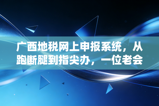 广西地税网上申报系统,从跑断腿到指尖办,一位老会计的数字化生存实录