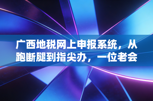 广西地税网上申报系统，从跑断腿到指尖办，一位老会计的数字化生存实录