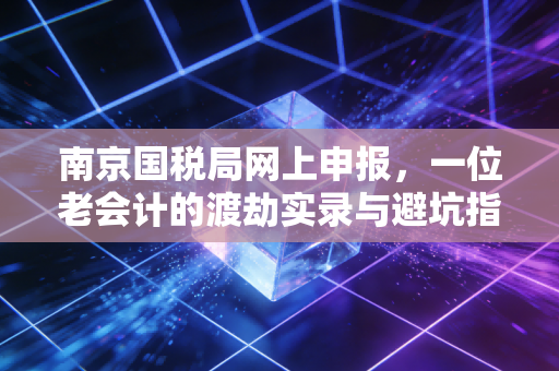 南京国税局网上申报,一位老会计的渡劫实录与避坑指南
