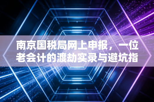南京国税局网上申报，一位老会计的渡劫实录与避坑指南