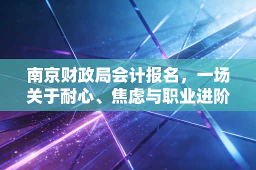 南京财政局会计报名,一场关于耐心、焦虑与职业进阶的年度大戏