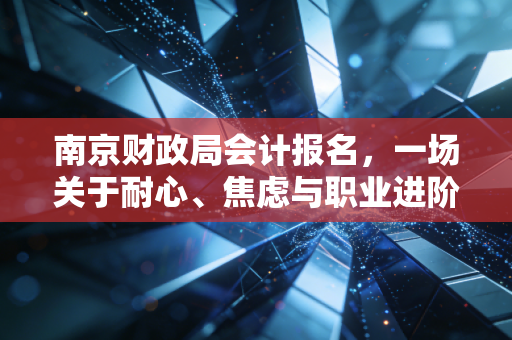 南京财政局会计报名，一场关于耐心、焦虑与职业进阶的年度大戏