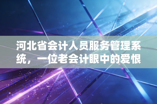 河北省会计人员服务管理系统，一位老会计眼中的爱恨情仇与数字化生存指南