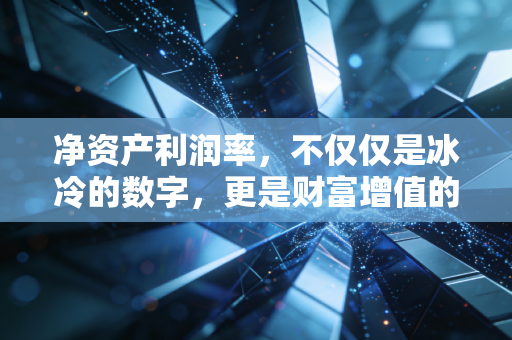 净资产利润率，不仅仅是冰冷的数字，更是财富增值的核心密码