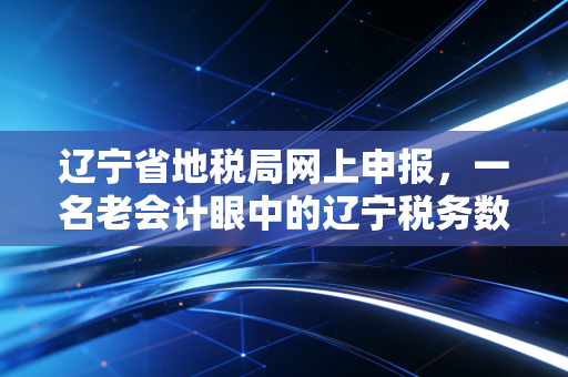 辽宁省地税局网上申报，一名老会计眼中的辽宁税务数字化变迁与实操心法
