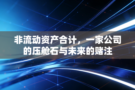 非流动资产合计,一家公司的压舱石与未来的赌注