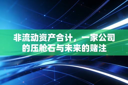 非流动资产合计,一家公司的压舱石与未来的赌注