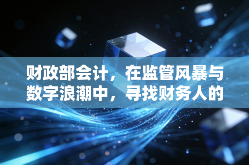 财政部会计，在监管风暴与数字浪潮中，寻找财务人的诗与远方