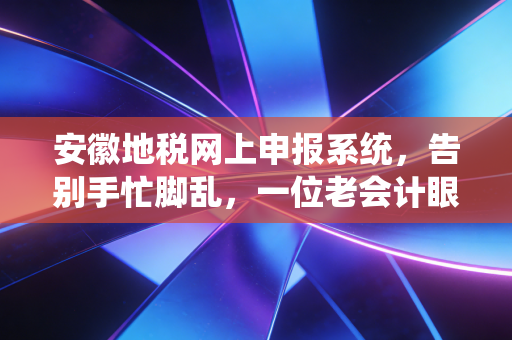 安徽地税网上申报系统，告别手忙脚乱，一位老会计眼中的申报避坑指南