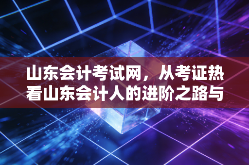 山东会计考试网，从考证热看山东会计人的进阶之路与生存智慧