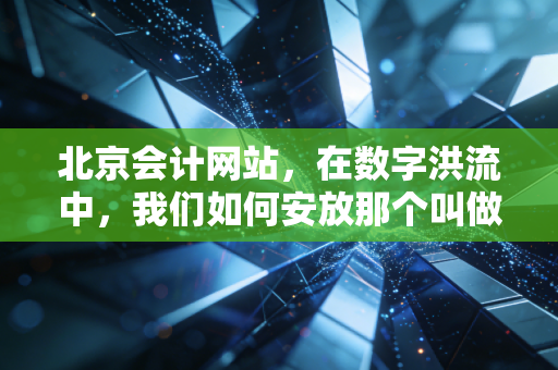 北京会计网站，在数字洪流中，我们如何安放那个叫做专业的灵魂