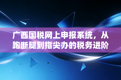 广西国税网上申报系统,从跑断腿到指尖办的税务进阶之路与会计人的真实感悟
