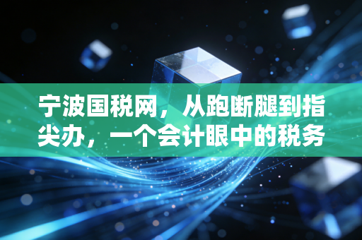 宁波国税网,从跑断腿到指尖办,一个会计眼中的税务数字化变迁