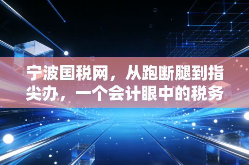 宁波国税网，从跑断腿到指尖办，一个会计眼中的税务数字化变迁