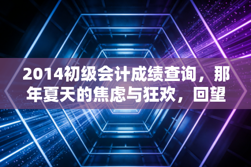 2014初级会计成绩查询，那年夏天的焦虑与狂欢，回望会计人的进阶之路