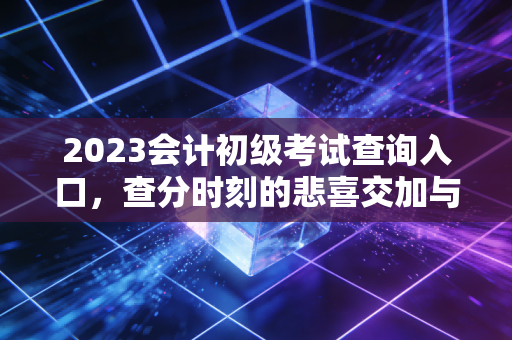 2023会计初级考试查询入口，查分时刻的悲喜交加与职业起点的深度思考