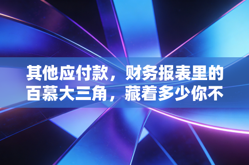 其他应付款,财务报表里的百慕大三角,藏着多少你不知道的秘密?