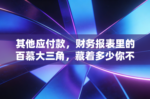 其他应付款，财务报表里的百慕大三角，藏着多少你不知道的秘密？