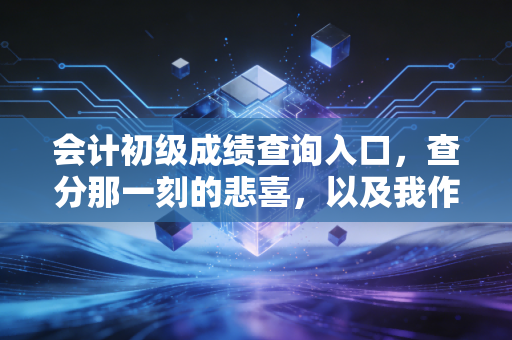 会计初级成绩查询入口,查分那一刻的悲喜,以及我作为一个注会想对你说的大实话