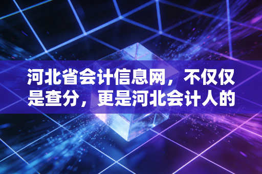 河北省会计信息网，不仅仅是查分，更是河北会计人的职业生涯指南