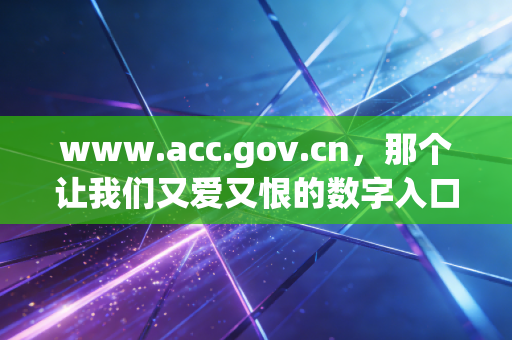 www.acc.gov.cn，那个让我们又爱又恨的数字入口，见证了中国注会行业的二十年变迁
