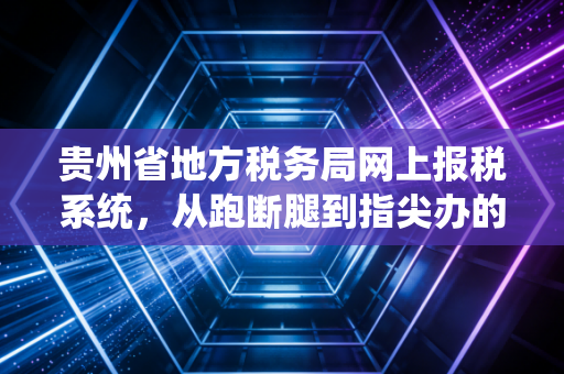 贵州省地方税务局网上报税系统，从跑断腿到指尖办的财税变革之路