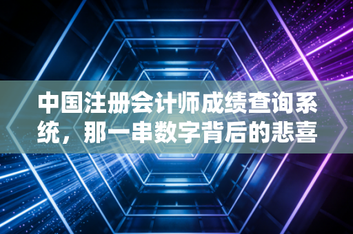 中国注册会计师成绩查询系统，那一串数字背后的悲喜与职业救赎